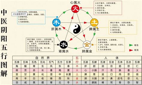 五行概念|五行